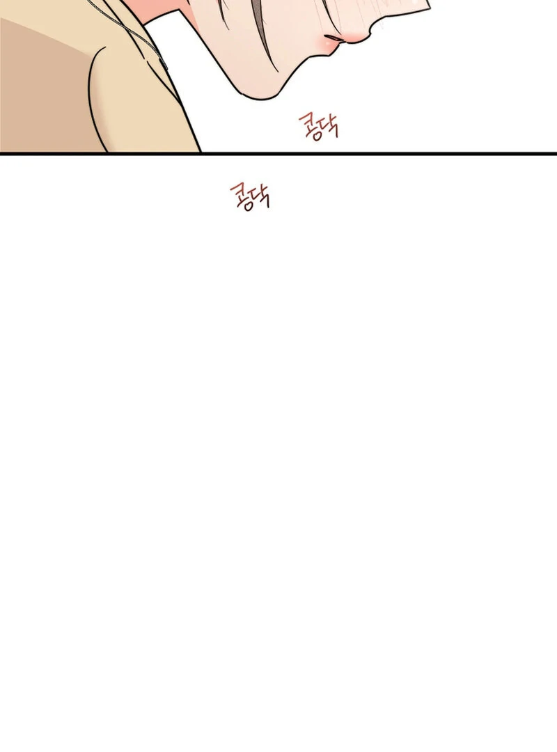 Page 4955