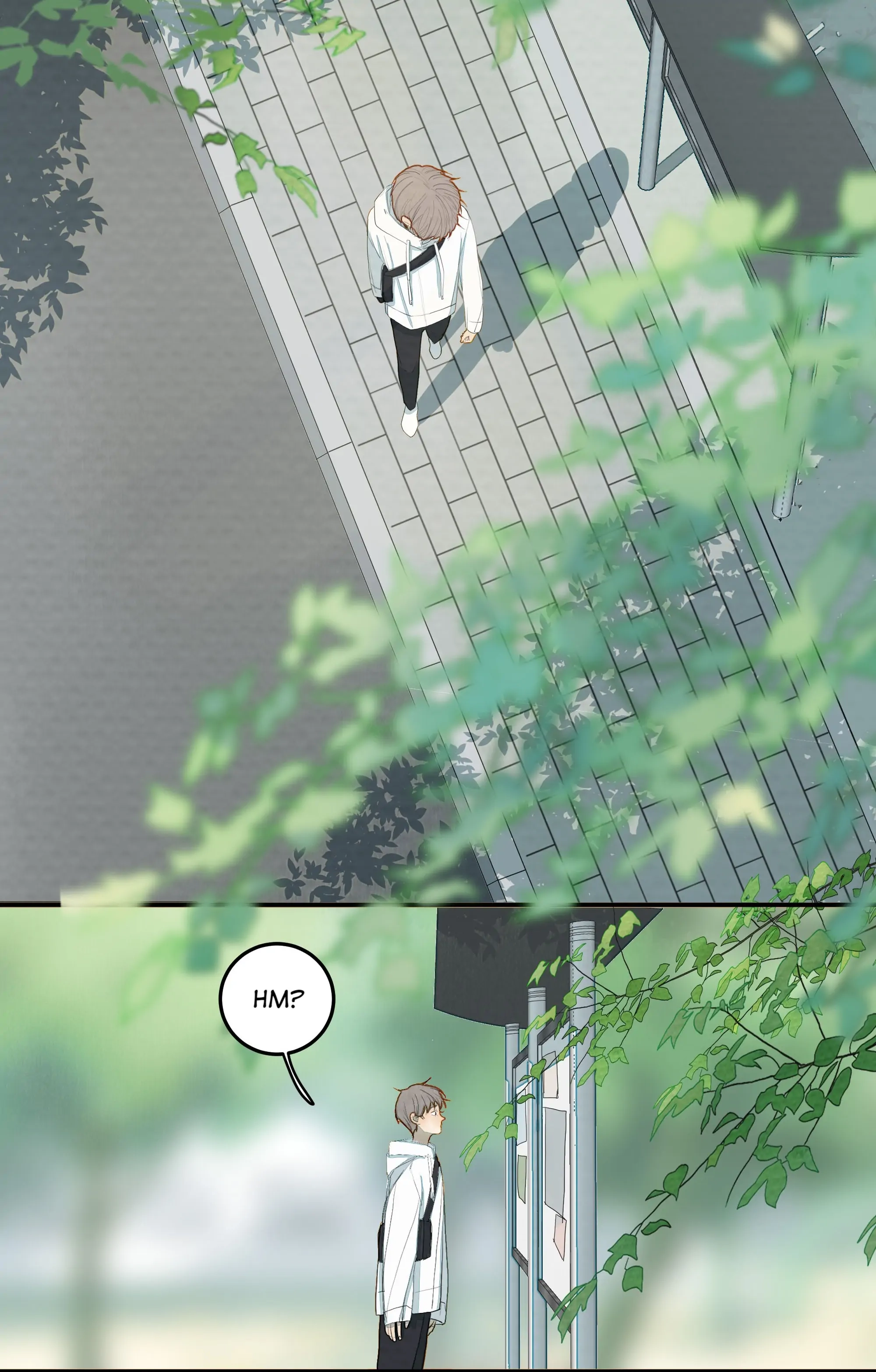 Page 815
