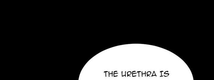 Page 240