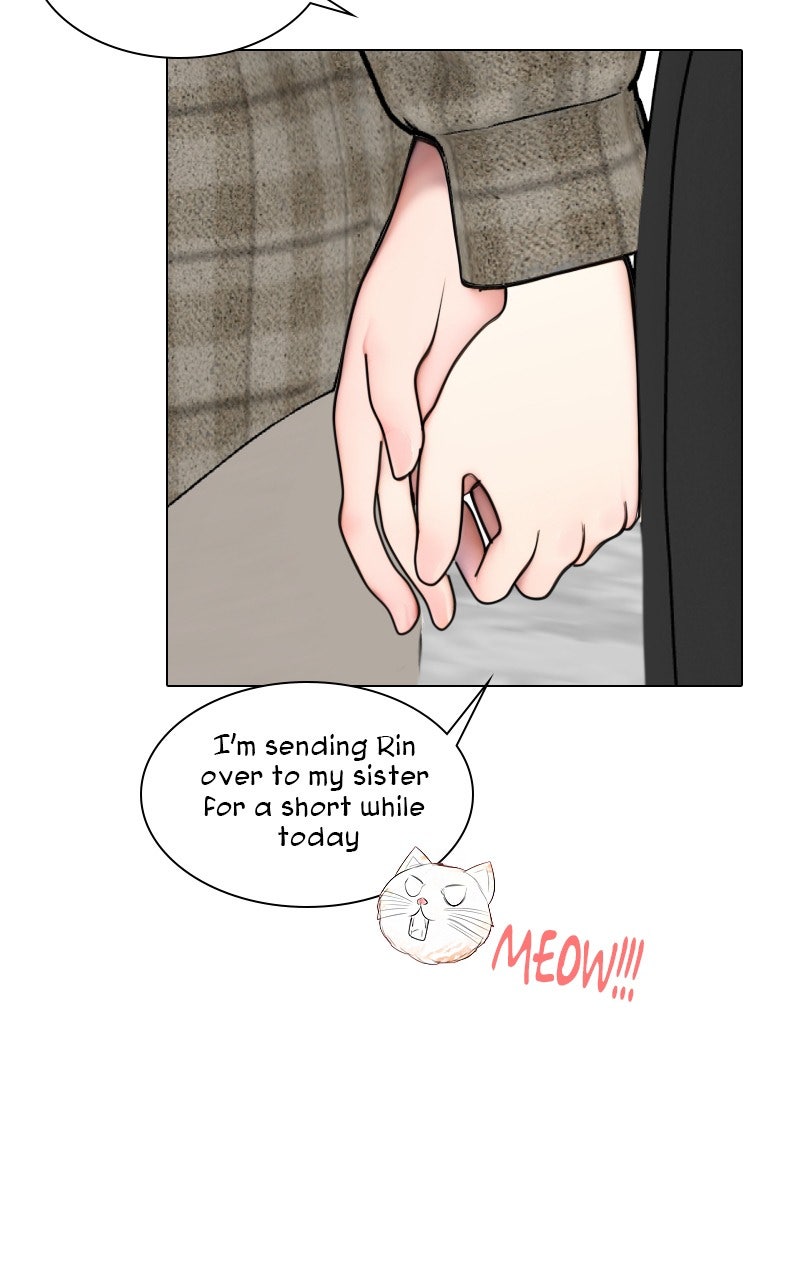 Page 4311