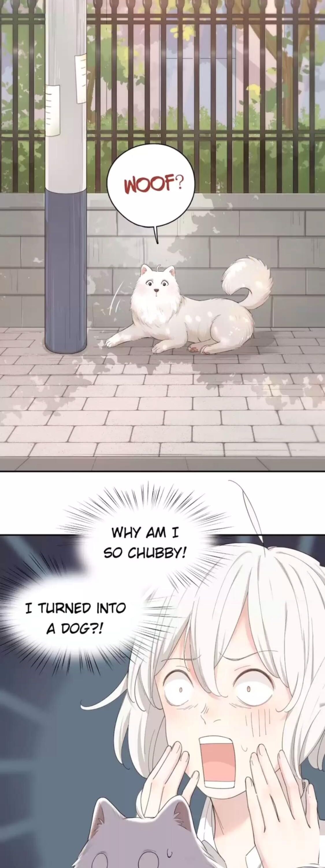 Page 687