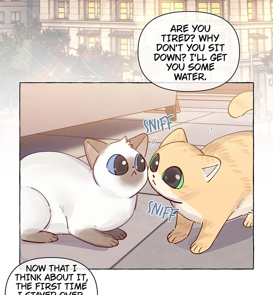 Page 4218