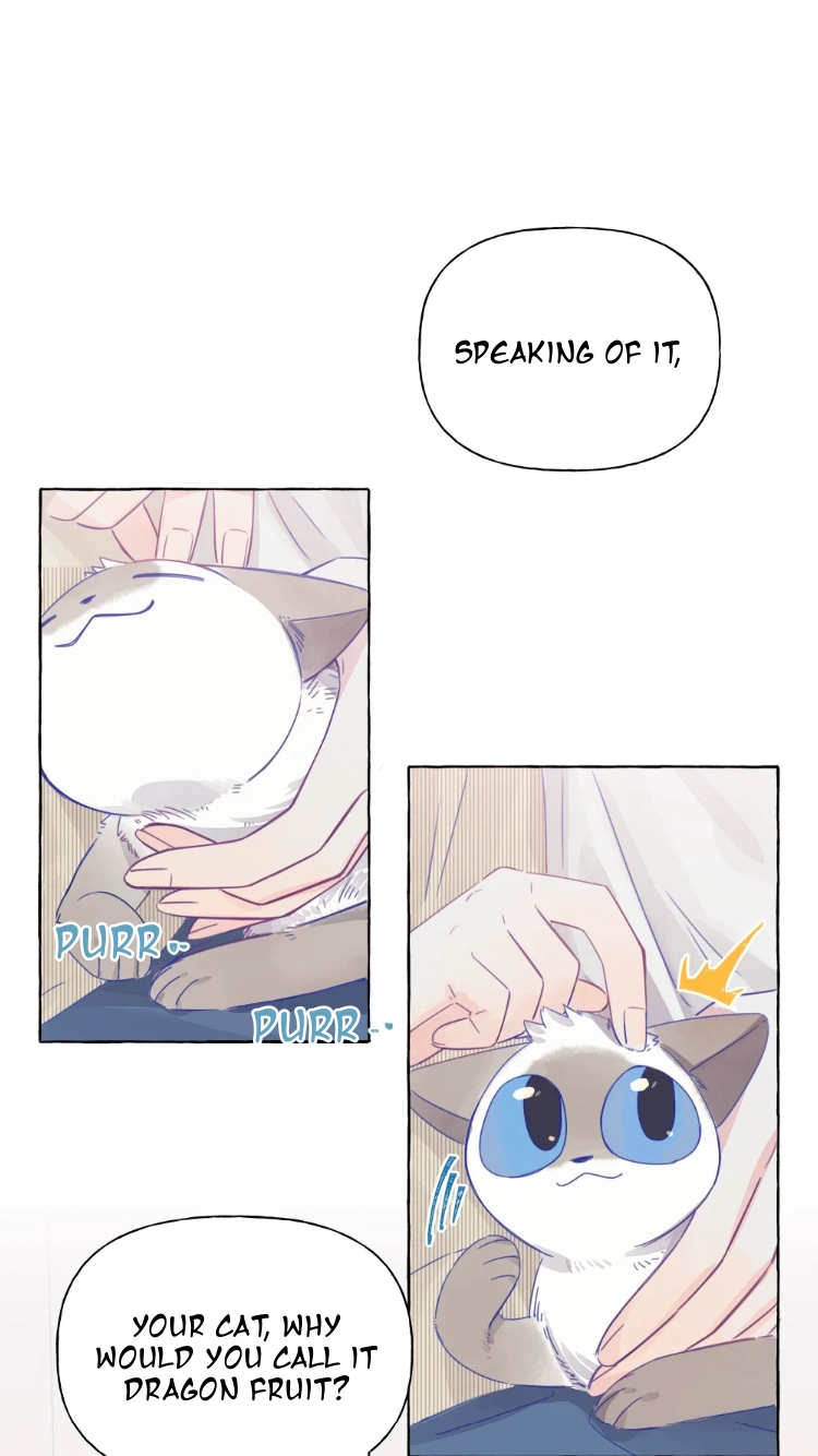 Page 363