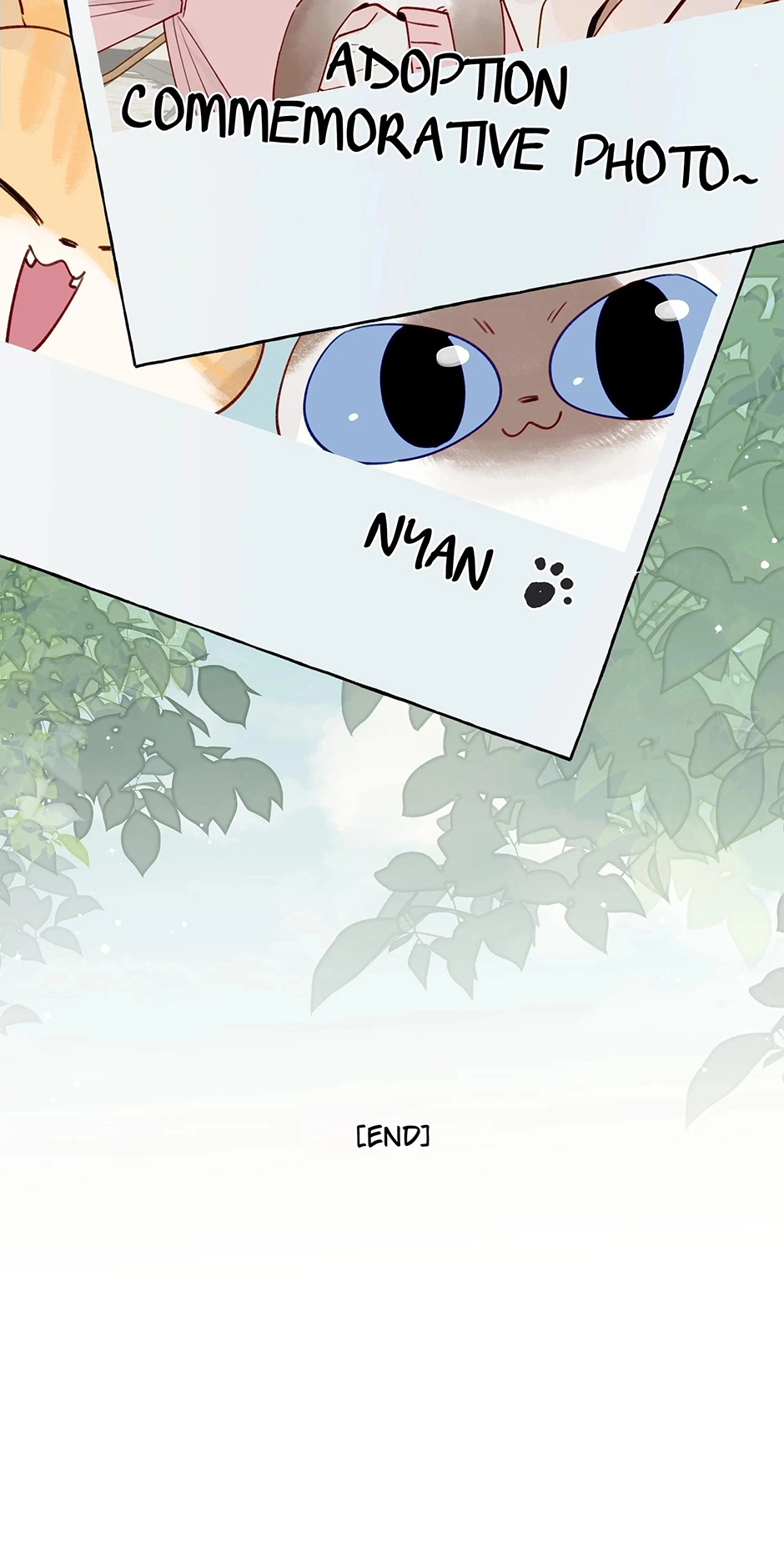 Page 4543