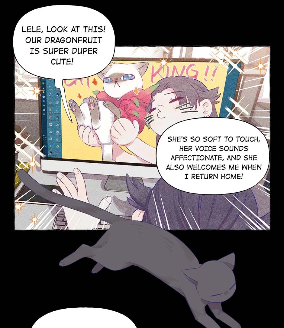 Page 843