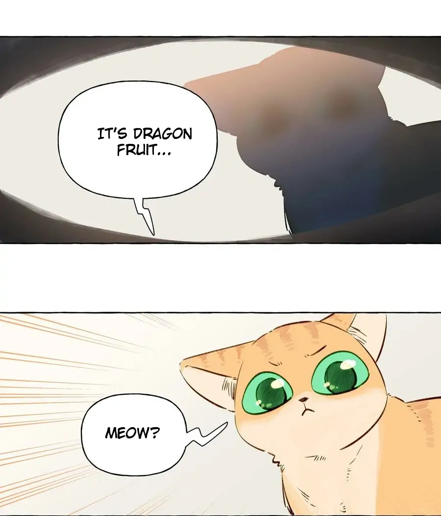 Page 1919