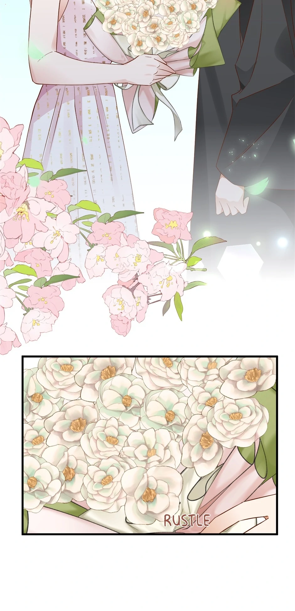 Page 6516