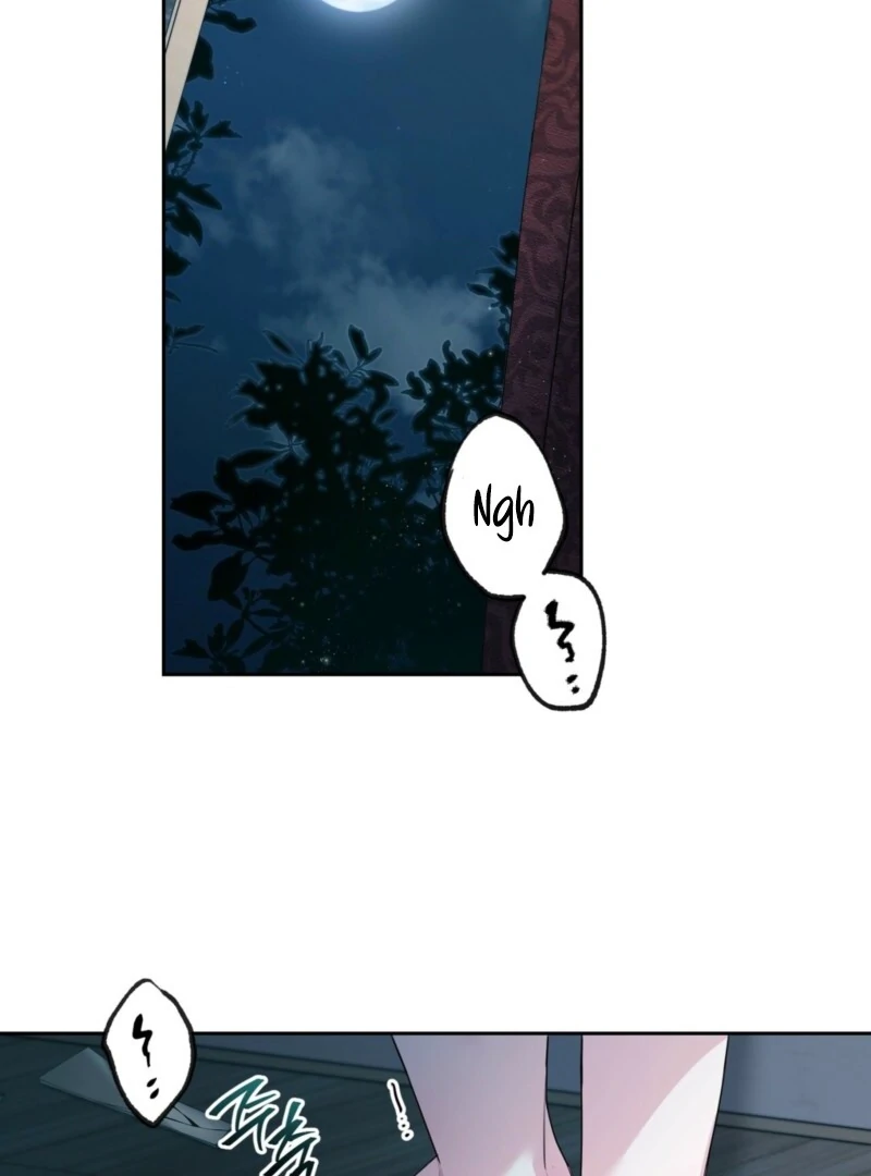 Page 482