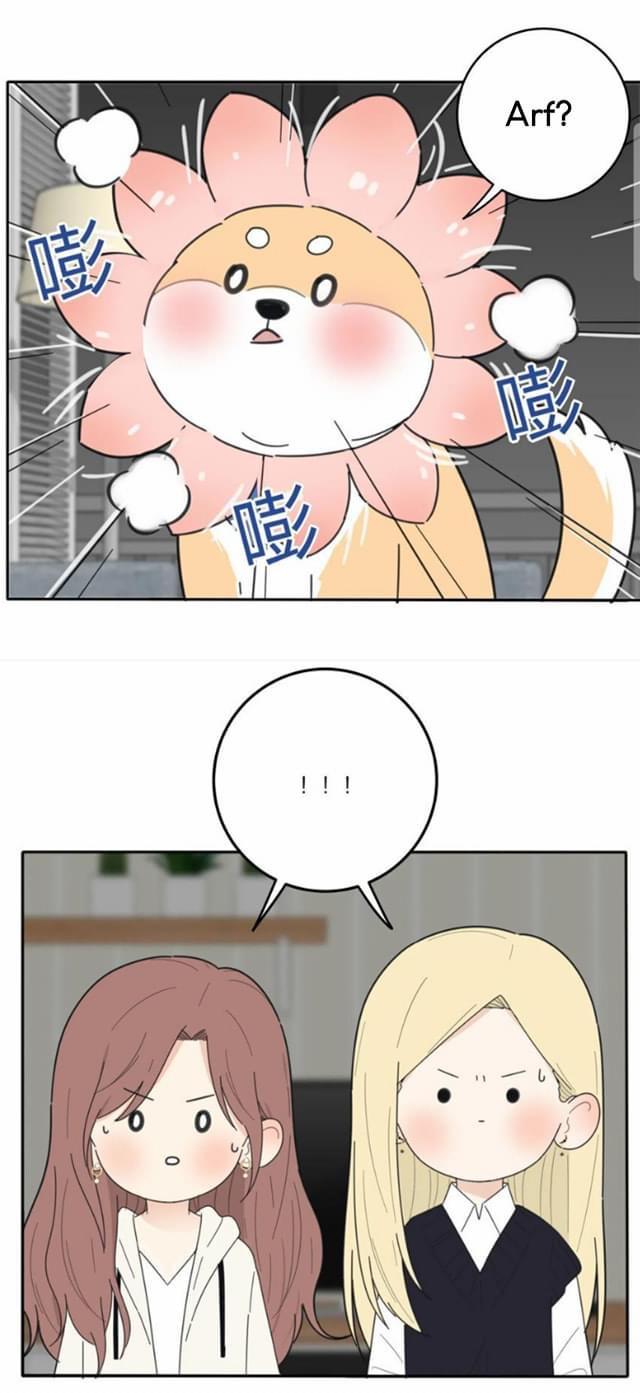 Page 1091