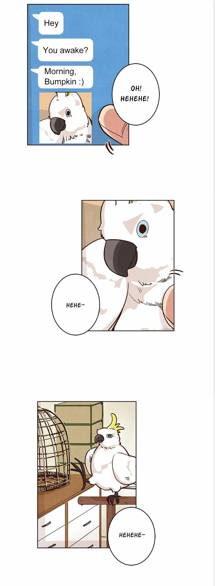 Page 71