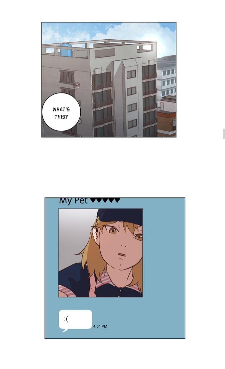 Page 833