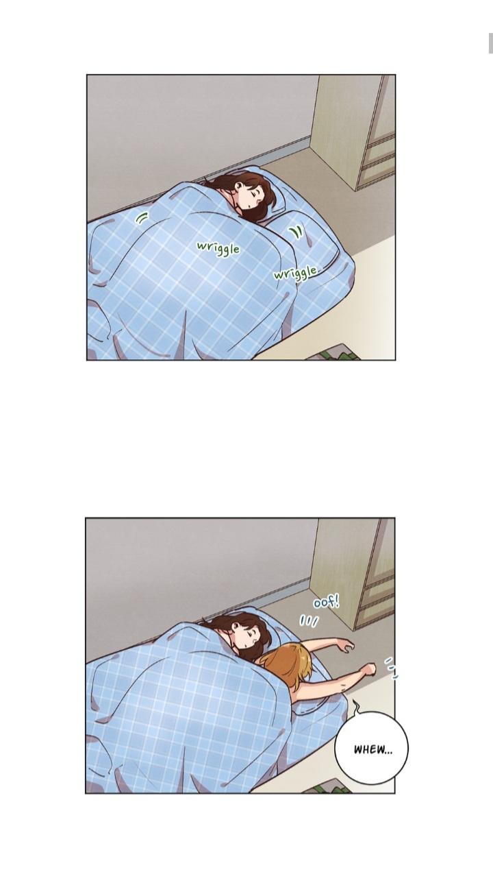Page 1062