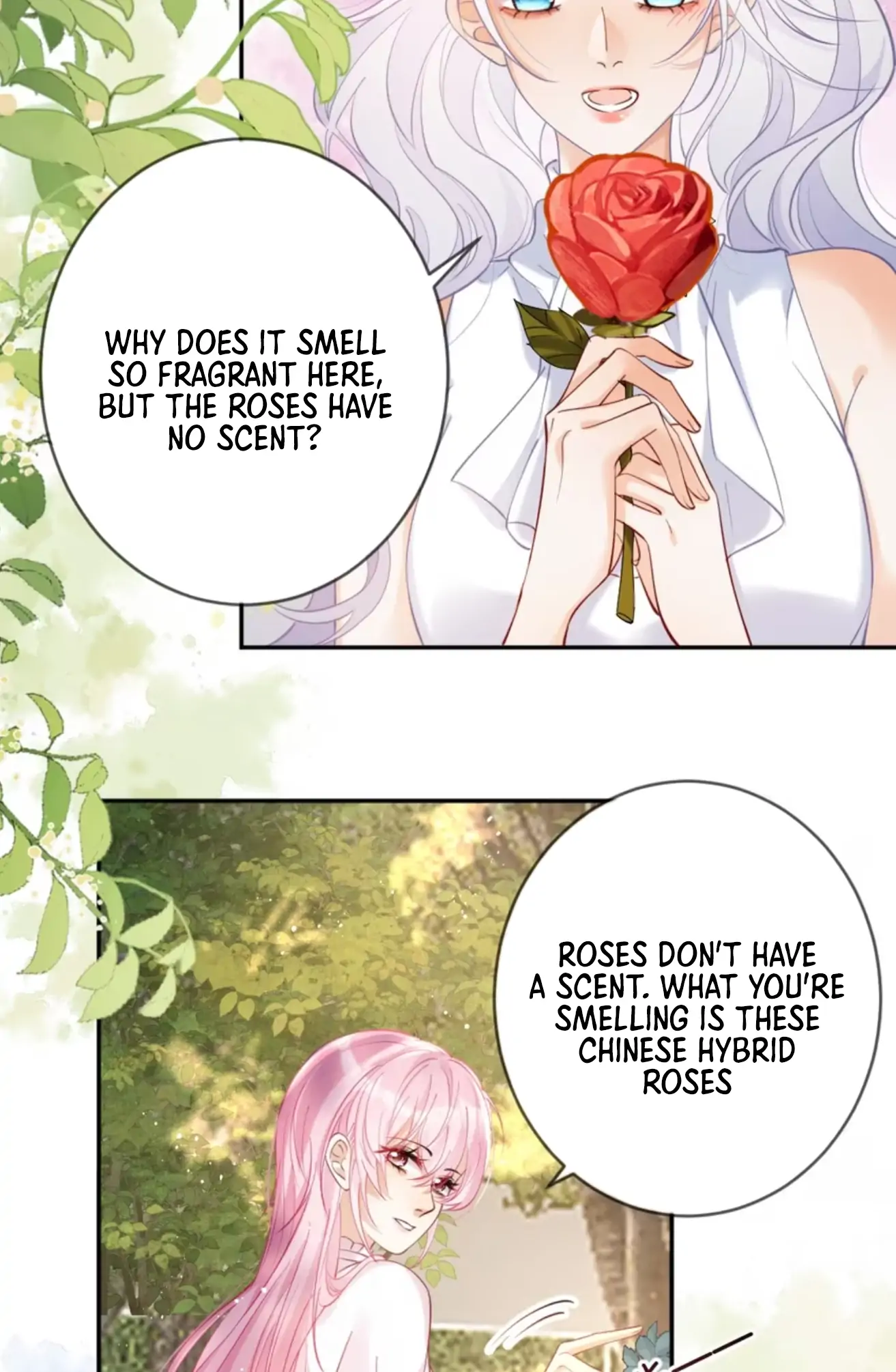 Page 305