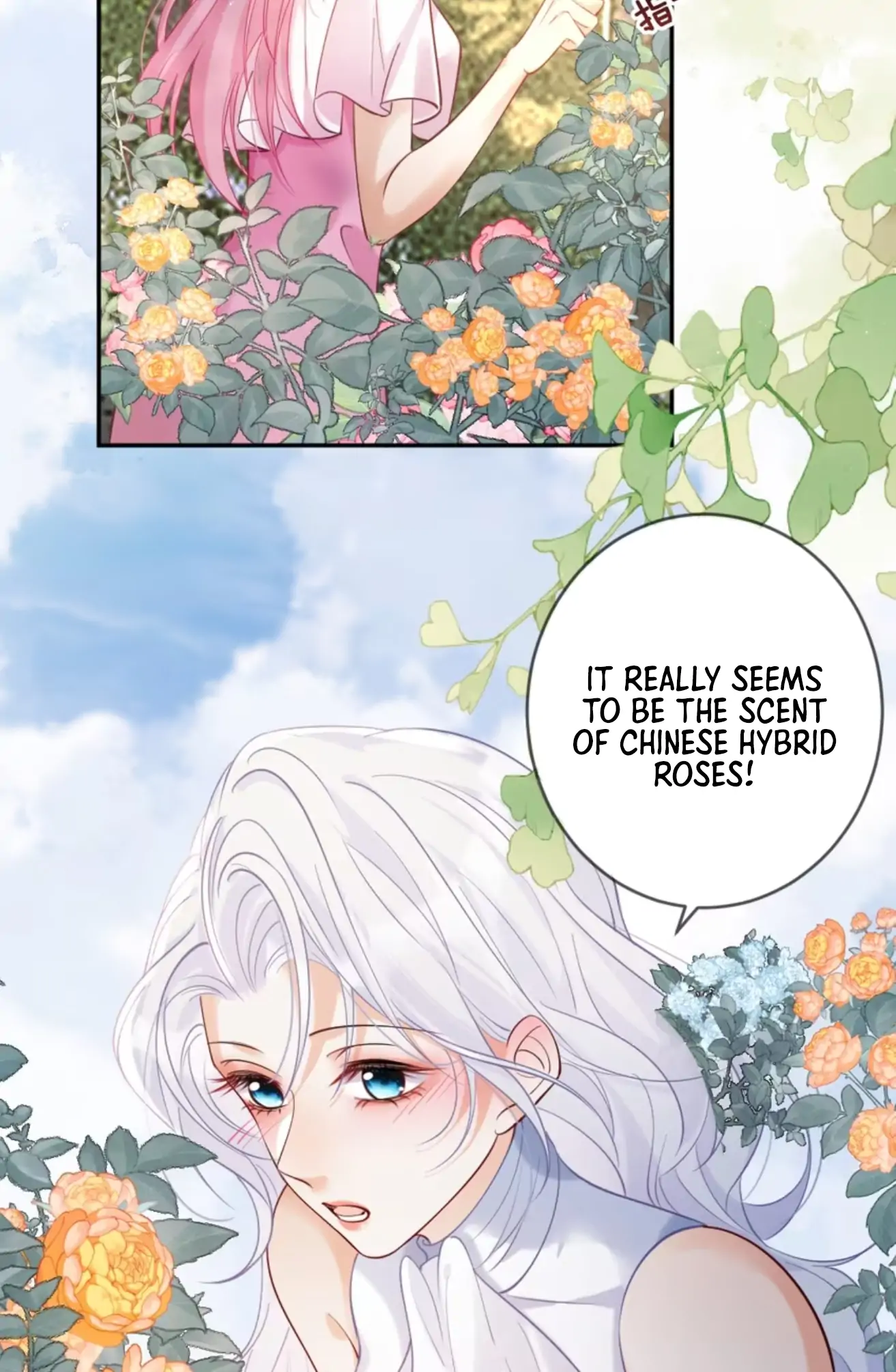 Page 306