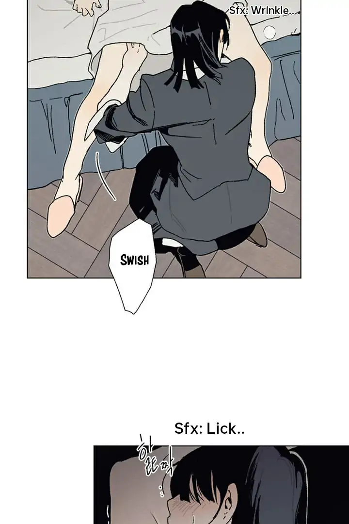 Page 516