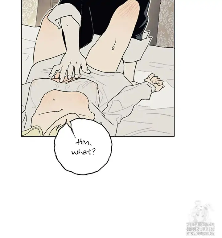 Page 533